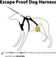 No Escape Dog Harness, Escape Proof Harness, Fully Reflective Harness With Padded Handle, Breathable, Durable, Adjustable Vest For Medium Dogs Walking, Training, And Running Gear (Teal,M)