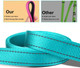 Soft Neoprene Padded Dog Collar And Leash Set For Small Medium Large Dogs, Reflective Durable Nylon Dog Collar With 5Ft Leash Easy For Walking, Teal,Neck Fit 12.5-19.5’’ Soft Neoprene Padded Dog Collar And Leash Set For Small Medium Large Dogs, Reflective Durable Nylon Dog Collar With 5Ft Leash Easy For Walking, Teal,Neck Fit 12.5-19.5’’