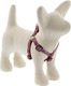 Small Adjustable Step In Dog Harness By Lupine 1/2 Wide El Paso Design With 12-18 Adjustable Girth Small Adjustable Step In Dog Harness By Lupine 1/2 Wide El Paso Design With 12-18 Adjustable Girth