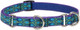 Lupinepet Originals 3/4 Rain Song 10-14 Martingale Collar For Small Dogs Lupinepet Originals 3/4 Rain Song 10-14 Martingale Collar For Small Dogs