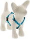 Lupinepet Originals 1/2 Turtle Reef 9-14 Adjustable Roman Dog Harness For Extra Small Dogs Lupinepet Originals 1/2 Turtle Reef 9-14 Adjustable Roman Dog Harness For Extra Small Dogs