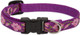 Lupinepet Originals 1/2 Rose Garden 8-12 Adjustable Collar For Small Dogs Lupinepet Originals 1/2 Rose Garden 8-12 Adjustable Collar For Small Dogs