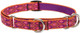 Lupinepet Originals 3/4 Alpen Glow 10-14 Martingale Collar For Small Dogs Lupinepet Originals 3/4 Alpen Glow 10-14 Martingale Collar For Small Dogs