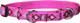Lupinepet Originals 3/4 Puppy Love 10-14 Martingale Collar For Small Dogs Lupinepet Originals 3/4 Puppy Love 10-14 Martingale Collar For Small Dogs