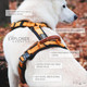 Premium Explorer Harness - Y-Shaped Dog Harness With Adjustable Durable Nylon, Soft Padding, Metal Buckles And Leather Handle For Small, Medium, Large Dogs (Carolina Blooms, Size 4)