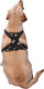 Floral No Pull Dog Harness Adjustable Soft Padded Pet Vest With Easy Control Handle Medium