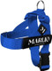 Marlio Adjustable Dog Harness - Stop Pulling, No Choke, Ensure Comfort, And Style With Easy-On, Unique Prints And Matching Leashes Available - Medium, Solid Royal Blue