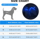 Masbrill Light Up Dog Collars-Rgb Led Dog Collar Rechargeable Lighted Dog Collar Water-Resistant Glow Up Night Walking Dog Collar For Small Medium Large Dogs Masbrill Light Up Dog Collars-Rgb Led Dog Collar Rechargeable Lighted Dog Collar Water-Resistant Glow Up Night Walking Dog Collar For Small Medium Large Dogs