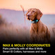 Max & Molly Led Dog Collar Light - Usb Rechargeable Safety Light For Night Walking, Running, Hiking