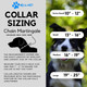 Max And Neo Stainless Steel Chain Martingale Collar - We Donate A Collar To A Dog Rescue For Every Collar Sold (X-Small, Teal) Max And Neo Stainless Steel Chain Martingale Collar - We Donate A Collar To A Dog Rescue For Every Collar Sold (X-Small, Teal)