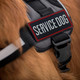 2 Pack Service Dog Patches For Harness, Tags With Hook And Loop Patches Red Border For Vests And Harnesses For Dog In Training, Service Dog, Emotional Support 2 Pack Service Dog Patches For Harness, Tags With Hook And Loop Patches Red Border For Vests And Harnesses For Dog In Training, Service Dog, Emotional Support