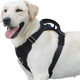 No Pull Dog Harness, Large Dogs Vest Harness With Sticky Fastener And Quick Release Led Flash Buckle For Night Walking, Adjustable Soft Padded Vest Harness For Small Medium Large Dogs (Black) No Pull Dog Harness, Large Dogs Vest Harness With Sticky Fastener And Quick Release Led Flash Buckle For Night Walking, Adjustable Soft Padded Vest Harness For Small Medium Large Dogs (Black)
