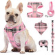 Mina&Co Dog Harness For Small Dogs No Pull - Adjustable Mesh Puppy Harness And Leash Set, Harness Medium Size Dog, Puppy Collar And Leash Set With Bandana & Poop Bag, Dog Vest Harness (Pink, Small)