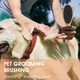 Dog Pin Brush Airbag Wooden Comb Pin Brush- Dog Cat Professional 20Mm Stainless Steel Round Pins Grooming Brush With Bamboo Handle, Airbag Comb No Scratching Any Hairs Type Dog Or Pets(1Pc) Dog Pin Brush Airbag Wooden Comb Pin Brush- Dog Cat Professional 20Mm Stainless Steel Round Pins Grooming Brush With Bamboo Handle, Airbag Comb No Scratching Any Hairs Type Dog Or Pets(1Pc)