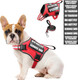 Service Dog Vest Harness And Leash Set+10 Patches,No Pull&Adjustable Reflective Dog Harness With Soft Padded Handle For Training/Everyday,Fit Small/Medium/Large/Extra-Large Dogs (Red S)