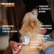 Self Cleaning Cat And Dog Grooming Brush For Mats And Tangled Hair, Soft Bent Needles For Pet Massage, Skin Friendly, Shedding Brush For Sensitive Medium And Short Hair, Cepillo Para Gatos