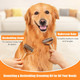 Dog Grooming Brush For Shedding, 2 In 1 Undercoat Rake And Dematting Comb For Double Coated And Longer Haired Dogs/Cats, Deshedding Tool And Dog Hair Deshedder Rake, Reduce Shedding By 95% (Large)