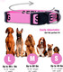 Service Dog Collars (Medium, Pink)