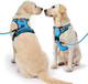 Nestroad No Pull Dog Harness,Adjustable Oxford Dog Vest Harness With Leash,Reflective No-Choke Pet Harness With Easy Control Soft Handle For Small Medium Dogs(Medium,Blue)
