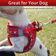 Nestroad Step-In Dog Harness No Pull,Escape Proof Cat Harness And Leash Set,Reflective Dog Vest Harness For Walking(Red&Snow,Small)