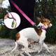 Nestroad Reflective Dog Leash,Strong And Durable Nylon Dog Leash With Soft Padded Handle For Small Medium Large Dogs Walking,Training,Fuchsia Pink,5Ft