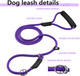 Durable Slip Lead, 3Pcs Slip Leads For Dogs, 5 Ft Slip Lead Dog Leash Adjustable Dog Training Leash, Strong Nylon Rope Slip Leash For Large Medium Small Dogs Durable Slip Lead, 3Pcs Slip Leads For Dogs, 5 Ft Slip Lead Dog Leash Adjustable Dog Training Leash, Strong Nylon Rope Slip Leash For Large Medium Small Dogs