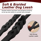 Leather Dog Leash 6Ft 3/4- Braided Dog Training Leash, Heavy Duty Dog Leashes, Soft Leather Leash With Dog Treat Training Pouch, Dog Leash Large Dogs For Large Medium Small Dogs Leather Dog Leash 6Ft 3/4- Braided Dog Training Leash, Heavy Duty Dog Leashes, Soft Leather Leash With Dog Treat Training Pouch, Dog Leash Large Dogs For Large Medium Small Dogs