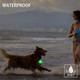 2-Pack Dog Light With Usb Rechargeable, Color Changing Dog Collar Light,Ip67 Waterproof Led Dog Safety Lights For Night Walking Attach To Collar, Leash Or Harness，Safety Light For Running ,Camping Or Bike