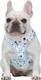 Now House For Pets By Jonathan Adler Terrazzo Reversible Harness, Medium Stylish, Fashionable, And Functional Way To Keep Your Dog Looking Great Cute And Adorable Dog Accessories For Pets