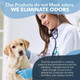 K.O.E. Fresh Scent Odor Eliminator Concentrate – Kennel Odor Eliminator For Strong Odor On Cages, Floor, & More – Non-Enzymatic Pet Odor Eliminator For Home & Dog Kennel – Home & Pet Supplies (1 Gal) K.O.E. Fresh Scent Odor Eliminator Concentrate – Kennel Odor Eliminator For Strong Odor On Cages, Floor, & More – Non-Enzymatic Pet Odor Eliminator For Home & Dog Kennel – Home & Pet Supplies (1 Gal)