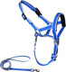 Dog Head Collar With Leash For Walking, No Pull Head Halter For Dogs, Easy Lead Reflective Dog Face Harness With Soft Padding, Adjustable(M, Blue)