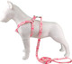 Pink Daisy Pattern Basic Dog Halter Harness Leash Set, No Pull, Easy Wear For Small Dogs.(S, Pink Daisy)