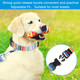 Dog Collars For Small Dogs,Adjustable Soft Dog Collar,Cute Dog Collar For Small Medium Dogs With 46.8In Dog Leash,Dog Collar And Leash Set (Width 2Cm/0.78 Colorful Collar + Leash)