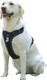 Adjustable Oxford Dog Harness No Pull And Leash Set Walking Pet Harness With Easy Control Handle For Lifting No Choke Front Clip Reflective Dog Vest 2 Leash Hooks Escape Proof (Black, Xl)