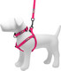 Pawtitas Value Bundle Set Step In Dog Harness + Small Dog Collar + Extra Small/Small 6Ft Dog Leash - Pink Set