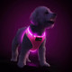 Pceotllar Light Up Dog Harness, Led Dog Harness For Puppy Small Medium Dogs, Rechargeable No Pull Reflective Dog Harness, Flashing Lighted Dog Harness For Night Walking (Pink,S) Pceotllar Light Up Dog Harness, Led Dog Harness For Puppy Small Medium Dogs, Rechargeable No Pull Reflective Dog Harness, Flashing Lighted Dog Harness For Night Walking (Pink,S)