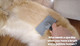 Pet Zone Professional Grade Slicker Pet Brush For Medium To Long Curly Coats - Ideal For Sensitive Skin Dogs And Cats, Gently Detangles And Removes Undercoat, Easy Grip, Grey, Efficient Grooming Tool Pet Zone Professional Grade Slicker Pet Brush For Medium To Long Curly Coats - Ideal For Sensitive Skin Dogs And Cats, Gently Detangles And Removes Undercoat, Easy Grip, Grey, Efficient Grooming Tool