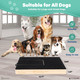 Dog Nail Scratch Board With Treat Box (2 Additional Sandpaper Included) - Nail Trimming Toy For Small, Medium And Large Dog