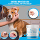 Dog Ear Wipes For Dog Unscented Dog Ear Cleaner For Dogs Remove Dirt Wax Itch Odor Natural Cleaning Puppy Ear Wipes Soothing Ear Wipes For Pets Cat Organic Ingredients 125 Xl Pcs