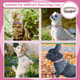 Reflective Dog Collar With Cute Paw Rivet Studded Funny Soft Pu Leather Adjustable Puppy Dog Collars For Small Medium Large Dogs Cats (Pink,Large) Reflective Dog Collar With Cute Paw Rivet Studded Funny Soft Pu Leather Adjustable Puppy Dog Collars For Small Medium Large Dogs Cats (Pink,Large)