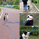 Dog Leashes For Small And Medium Dogs,Strong Durable Dog Leades,5Ft/6Ft/10Ft/15Ft/20Ft/30Ft/50F Long, 3/4 Inch Wide(Blue,5Ft)