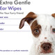 Petkin Plant-Based Earwipes, 80 Wipes, 2 Pack - Biobased & Sustainable Pet Ear Wipes For Dogs & Cats - Cleans Ear Area, Dirt, Odor & Wax - Consciously Cleans & Conditions - Easy To Use - Lavender