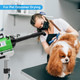 Dog Dryer Stand For Salon Groomer, Professional 4.3Hp Variable Speed, Dog Grooming Hair Dryer Stand With Heater, Low Noise, Pet Force Hair Dryer Dog Blow Dryer Stand
