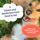 Petpost Grooming Wipes For Dogs - Large, Deodorizing Wipes With Cherry Blossom Scent - 70 Ultra Soft Cotton Pads In Cleansing Solution - Cherry Blossom Scent 70 Ct.