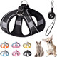 Soft Small Dog Harness And Leash Set Step In Air Mesh Puppy Harness Leash Easy Walk Dog Harness Vest Adjustable Reflective No Pull Dog Harnesses For Small Dogs Cats (Black,Xxs)