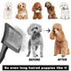 Dog Slicker Brush, Small Dog Brush, Professional Doodles Brush, For Poodles, Goldendoodles And Labradoodles, Easy To Remove Tangles, Mats And Fluff, Black