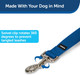 Petsafe Nylon Dog Leash - Strong, Durable, Traditional Style Leash With Easy To Use Bolt Snap - 3/4 In. X 4 Ft., Royal Blue