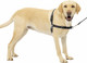 Petsafe Easy Walk No-Pull Dog Harness - The Ultimate Harness To Help Stop Pulling - Take Control & Teach Better Leash Manners - Helps Prevent Pets Pulling On Walks - Large, Charcoal