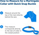 Petsafe Martingale Dog Collar With Quick-Snap Buckle - Large, 1 Inch, Royal Blue