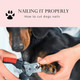 Large Dog Nail Clippers For Medium And Large Sized Dogs (Above 10Kgs)-Nail Clipper For Dogs With Nail File, Made Of Professional Stainless Steel, Safe And Easy To Use (15.5 Cm-6.1 Inches) Large Dog Nail Clippers For Medium And Large Sized Dogs (Above 10Kgs)-Nail Clipper For Dogs With Nail File, Made Of Professional Stainless Steel, Safe And Easy To Use (15.5 Cm-6.1 Inches)